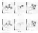 Fig. 14 - AUGMENTED 2D REPRESENTATION OF MOLECULAR STRUCTURES