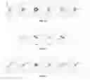 Fig. 15 - AUGMENTED 2D REPRESENTATION OF MOLECULAR STRUCTURES
