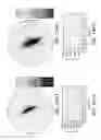 Fig. 16 - Dual-orientation autostereoscopic backlight and display