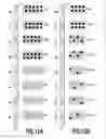 Fig. 13 - Inkjet printing device and inkjet printing method