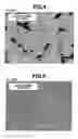 Fig. 04 - Conductor pattern printing ink