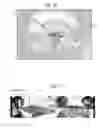 Fig. 16 - CAPTURING GATED AND UNGATED LIGHT IN THE SAME FRAME ON THE SAME PHOTOSURFACE