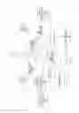 Fig. 02 - Method and apparatus for automatically acquiring facial, ocular, and iris images from moving subjects at long-range