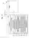 Fig. 13 - Image processing device and method