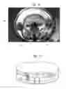 Fig. 14 - LEFT/RIGHT IMAGE GENERATION FOR 360-DEGREE STEREOSCOPIC VIDEO