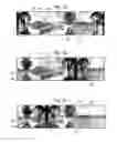 Fig. 16 - LEFT/RIGHT IMAGE GENERATION FOR 360-DEGREE STEREOSCOPIC VIDEO