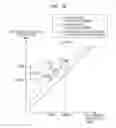 Fig. 19 - Compound eye imaging apparatus and method with left image and right image processor to calculate correction value for lens position