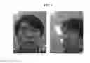 Fig. 06 - Stereoscopic image display and method for driving the same