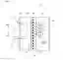 Fig. 04 - LIQUID CRYSTAL DISPLAY