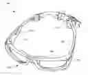 Fig. 01 - Eyewear with removeable secured adjustable strap