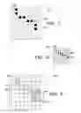 Fig. 04 - Testing/training visual perception speed and/or span