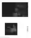 Fig. 11 - Portable system for detecting hazardous agents using SWIR and method for use thereof