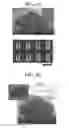 Fig. 03 - Tunable compliant optical metamaterial structures