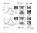 Fig. 09 - Tunable compliant optical metamaterial structures