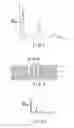 Fig. 04 - Bundle-state detection apparatus and separation and extraction apparatus