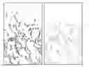 Fig. 01 - Coating compositions comprising non-ionic surfactant exhibiting reduced fingerprint visibility