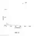 Fig. 11 - System and method for real-time measurement of equivalence ratio of gas fuel mixture
