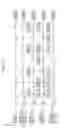 Fig. 13 - Image forming apparatus configured to perform a calibration operation
