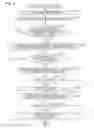 Fig. 05 - Image processing apparatus corresponding to a plurality of documents on a document plate, method for controlling the same, and program