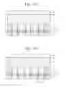Fig. 30 - Electrophoretic display apparatus