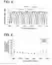Fig. 04 - PLC-type delay demodulation circuit