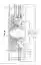 Fig. 08 - Thermal management for a solid immersion lens objective in optical probing