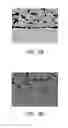 Fig. 05 - CONDUCTIVE PASTE COMPOSITION FOR TERMINATION ELECTRODE, MULTILAYER CERAMIC CAPACITOR INCLUDING THE SAME AND METHOD OF MANUFACTURING THEREOF