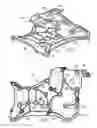Fig. 04 - Electrical system and matrix assembly therefor
