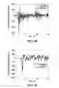 Fig. 30 - Apparatus and method for measuring and recording data from violent events