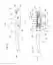 Fig. 30 - Rechargeable lighted glasses