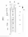 Fig. 02 - LED luminaire, particularly LED headlight