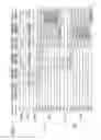 Fig. 07 - Semiconductor storage apparatus or semiconductor memory module