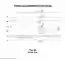 Fig. 35 - Universal timing waveforms sets to improve random access read and write speed of memories