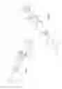 Fig. 02 - Device to prepare and administer a two-component mixture