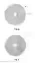 Fig. 03 - Timepiece faceplate and timepiece