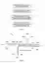 Fig. 02 - Connectivity fault management in a provider backbone bridge traffic engineering (PBB-TE) domain