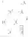 Fig. 02 - Extendable frequency hopping timeslots in wireless networks