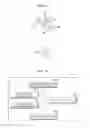 Fig. 10 - Location measuring method and apparatus using access point for wireless local area network service and method for estimating location coordinate of access point