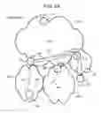 Fig. 04 - Communication system, mobile terminal, network node, and base station apparatus