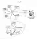 Fig. 02 - WIRELESS LOCAL AREA COMMUNICATION SYSTEM