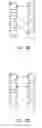 Fig. 19 - Manycore networks-on-chip