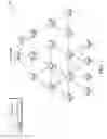 Fig. 02 - Dynamic assignment of frequency hopping sequences in a communication network