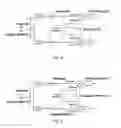 Fig. 07 - Broadband phase synthesis network with self-healing capability