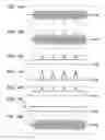 Fig. 14 - Audio-Signal Processing Apparatus and Method, and Program