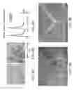 Fig. 08 - Apparatus and method for analyzing stream of imaging data