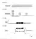 Fig. 02 - Optical packet switching system