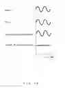 Fig. 19 - Optical modulator and optical modulation control method