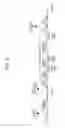 Fig. 03 - Image forming apparatus