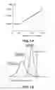 Fig. 13 - Image forming apparatus with developing device, sensor, and controller