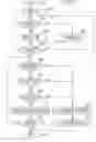 Fig. 07 - Image forming apparatus